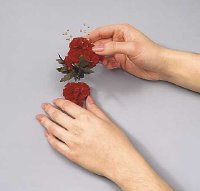 Glue the carnation and leaf spray to the three carnation arrangement.