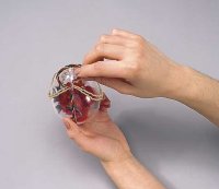 Make sure the tricolor cord touches but does not cover the cord on the egg seam.