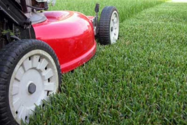 lawn mowing gold coast