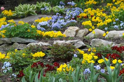 About Rock Gardens Howstuffworks