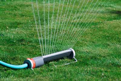 Watering Plants