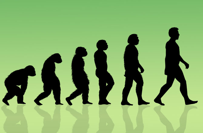 Question 3 Where Did The First Living Cell Come From How Evolution 