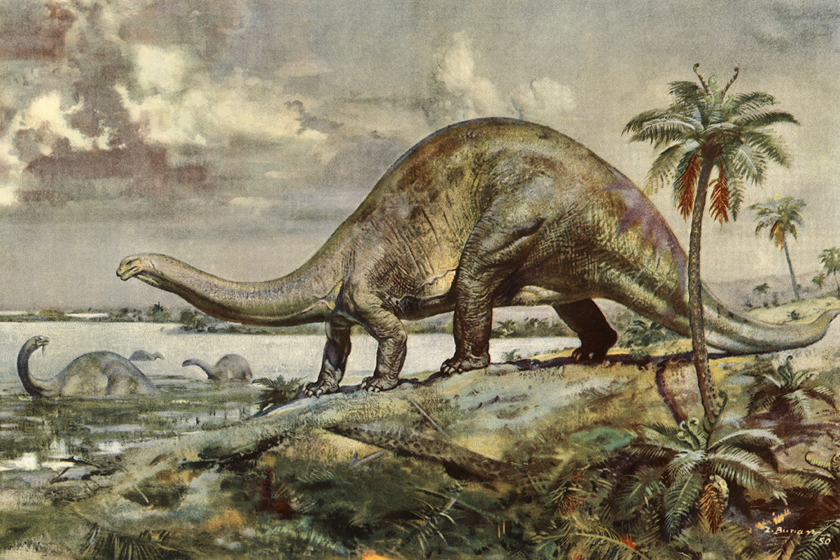 What s The Largest Land Animal Of All Time HowStuffWorks