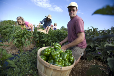 Middle Branch Farm – Local, Organic, Fresh