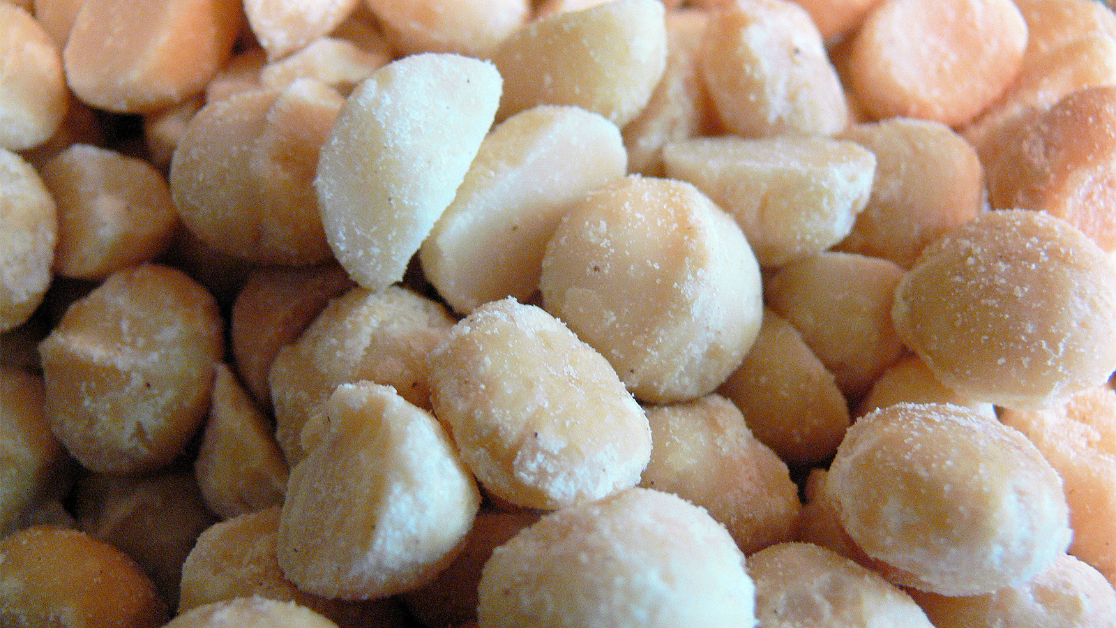 Flipboard Here's Why Macadamia Nuts Are So Delicious and So Crazy