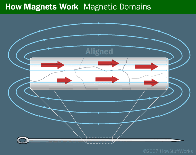 In a magnet, most or all of the domains point in the same direction.