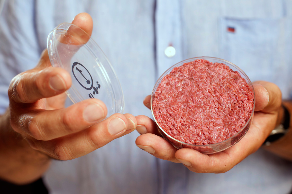 Could you grow meat from stem cells? | HowStuffWorks