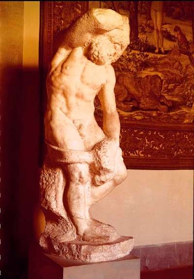 Michelangelo's Bearded Slave