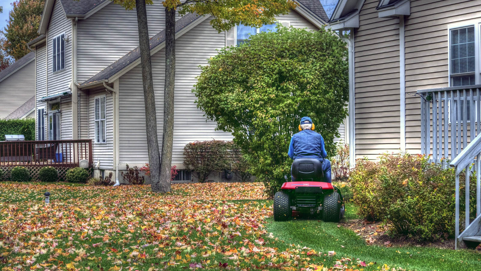 how to get rid of leaves without raking