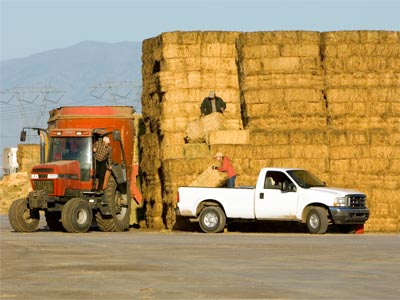 Truck Payload Chart