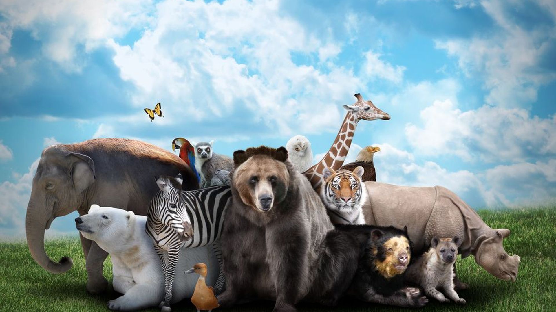 Pouvez-vous identifier un animal par son museau? | Zoo, image size:1920x1080