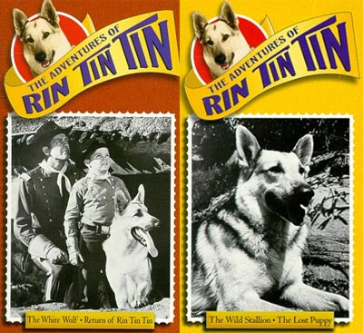 new cat condos triple cat perch