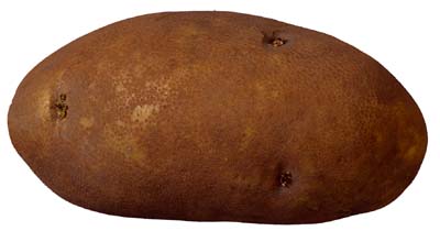 Good baking potatoes are large and brown with dry skin.