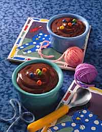 Microwave Chocolate Pudding Microwave Chocolate Pudding