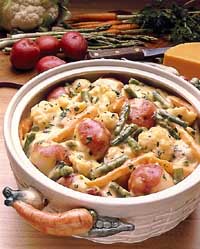 Fresh Vegetable Casserole Fresh Vegetable Casserole