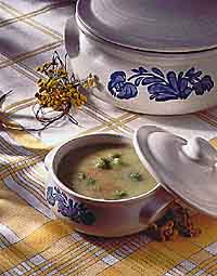 Cream of Broccoli and Cheese Soup Cream of Broccoli and Cheese Soup