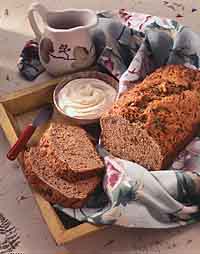 Brunch-Time Zucchini-Date Bread Brunch-Time Zucchini-Date Bread