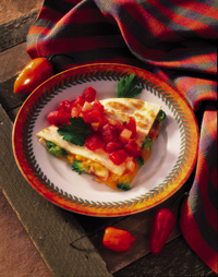 Veggie Quesadilla Appetizer Veggie Quesadilla Appetizer