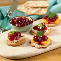 Hot Pepper Cranberry Jelly Appetizer Hot Pepper Cranberry Jelly Appetizer