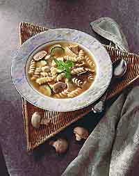 Chicken Rotini Soup Chicken Rotini Soup
