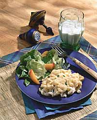 Zesty Macaroni & Cheese Zesty Macaroni & Cheese