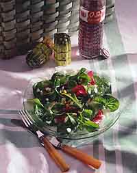 Garden Greens with Fennel Dressing Garden Greens with Fennel Dressing
