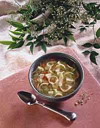 Vegetable-Chicken Noodle Soup Vegetable-Chicken Noodle Soup