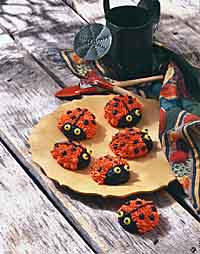 Lady Bugs Lady Bugs