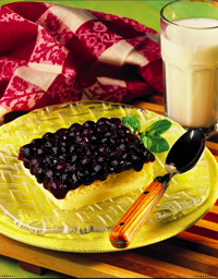 Blueberry Lemon Pudding Cake Blueberry Lemon Pudding Cake