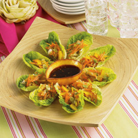 Asian Vegetable Rolls with Soy-Lime Dipping Sauce Asian Vegetable Rolls with Soy-Lime Dipping Sauce