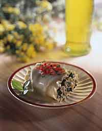 Chicken Noodle Roll-Up Chicken Noodle Roll-Up