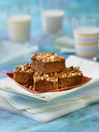 Turtle Brownies Turtle Brownies