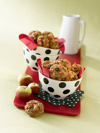 Apple Cinnamon Chunkies Apple Cinnamon Chunkies