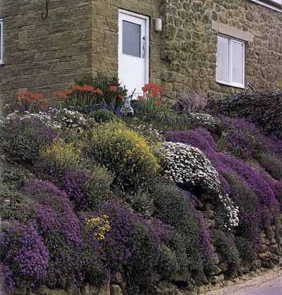 wall rock garden ideas howstuffworks