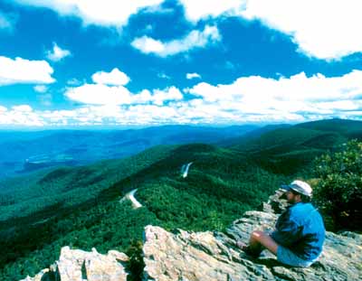 A view along Virginia's Skyline Drive