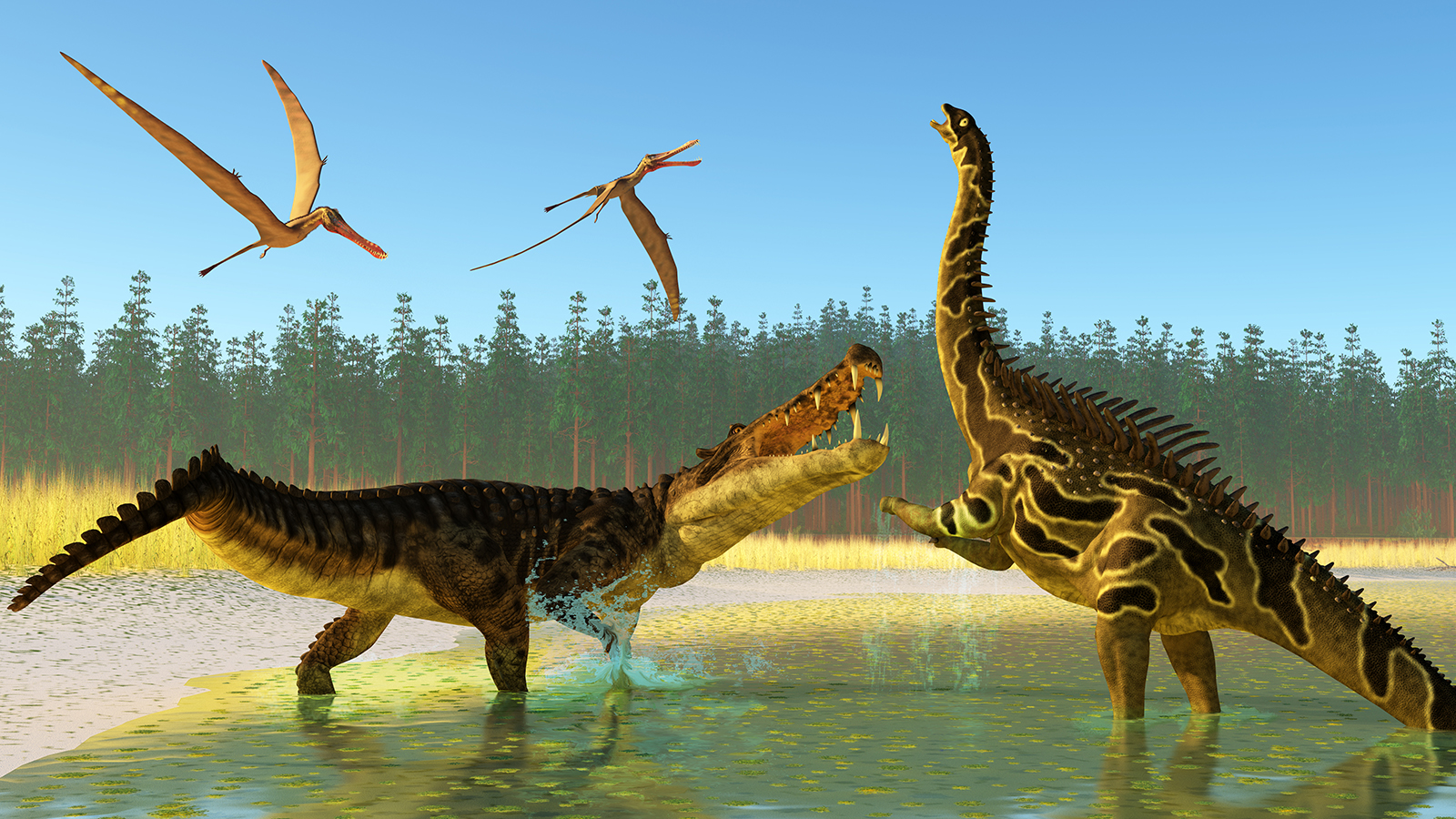 Largest Prehistoric Crocodile Ever