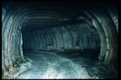 could the strategic petroleum reserve be used to make money could the strategic petroleum reserve be used to make money