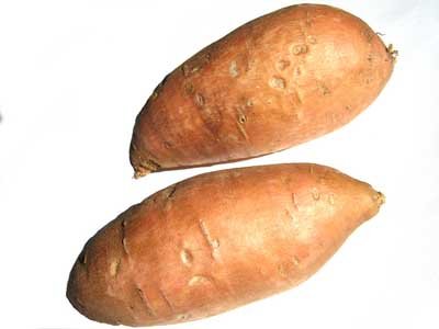 Sweet potatoes look similar to regular potatoes, but they are not closely related.