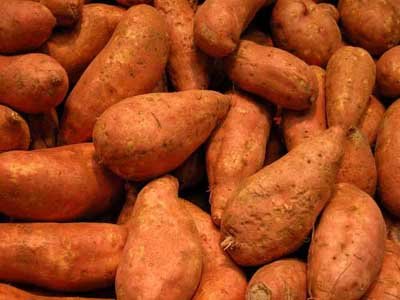 Despite their hardy appearance, bruises or cuts will spoil a sweet potato.