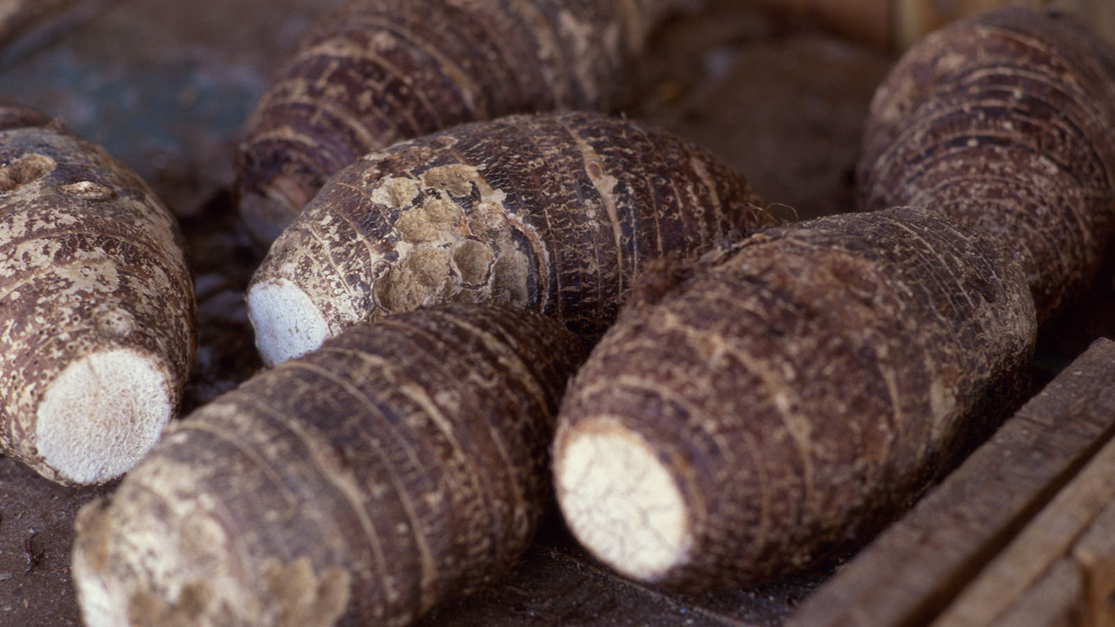 Taro Gives the Potato a Run for Its Nutritional Buck HowStuffWorks