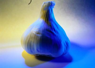 Garlic has held a mystical allure for cultures throughout history.