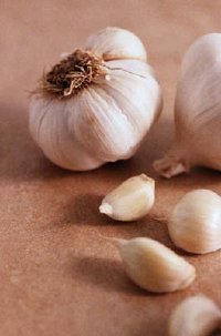 Garlic may not be a magic bullet against cholesterol, but it can have significant, positive effects.