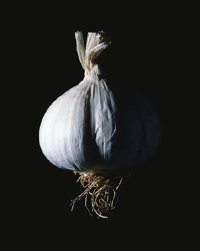 As few as two servings a week of garlic can prevent colon cancer.