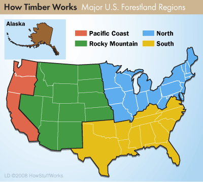 timberland united states