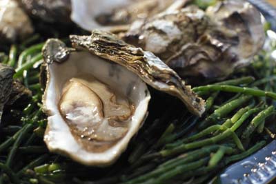 Oysters and other animal foods are good sources of vitamin B12.