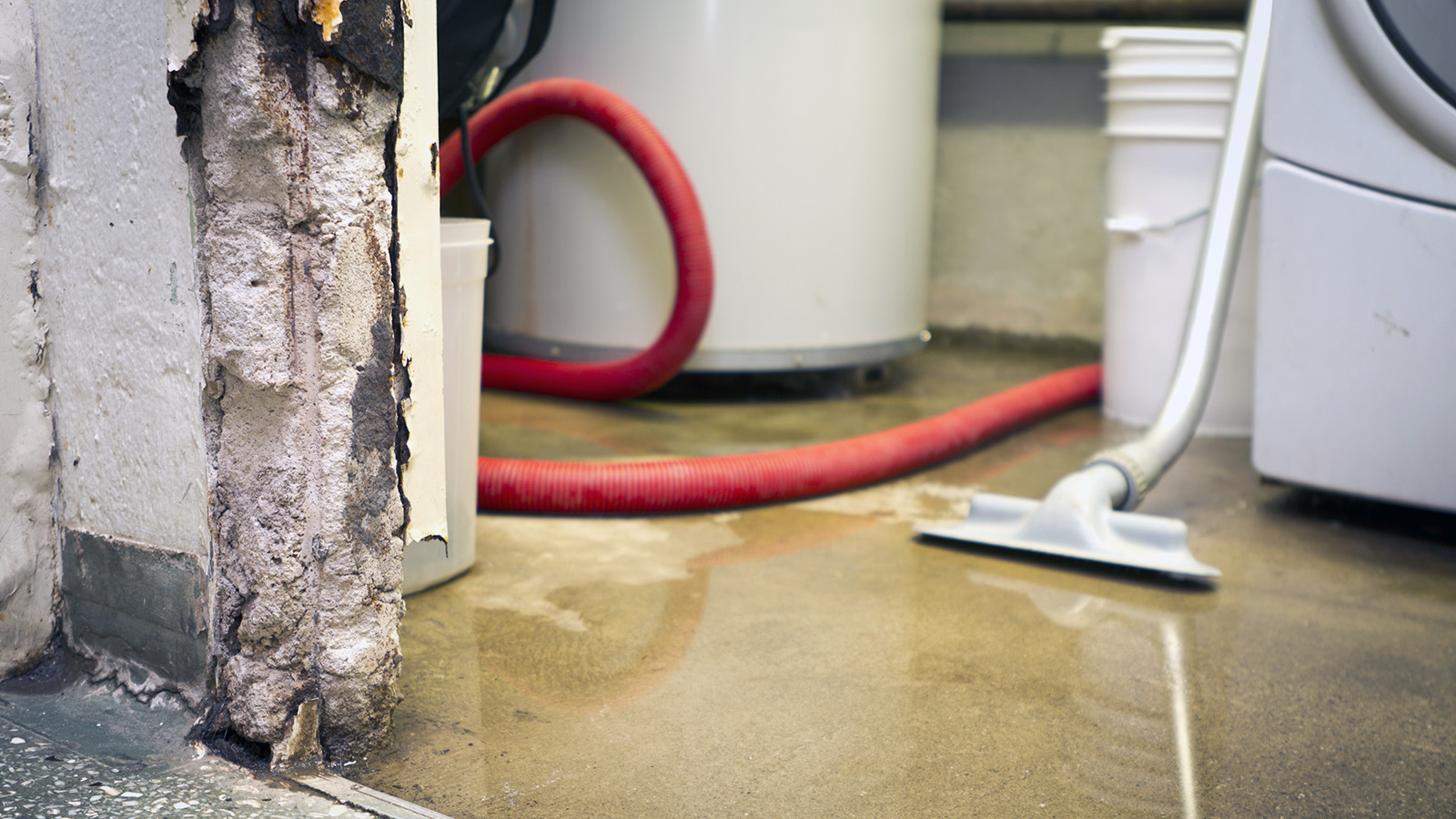 Leaky Basement In Toronto