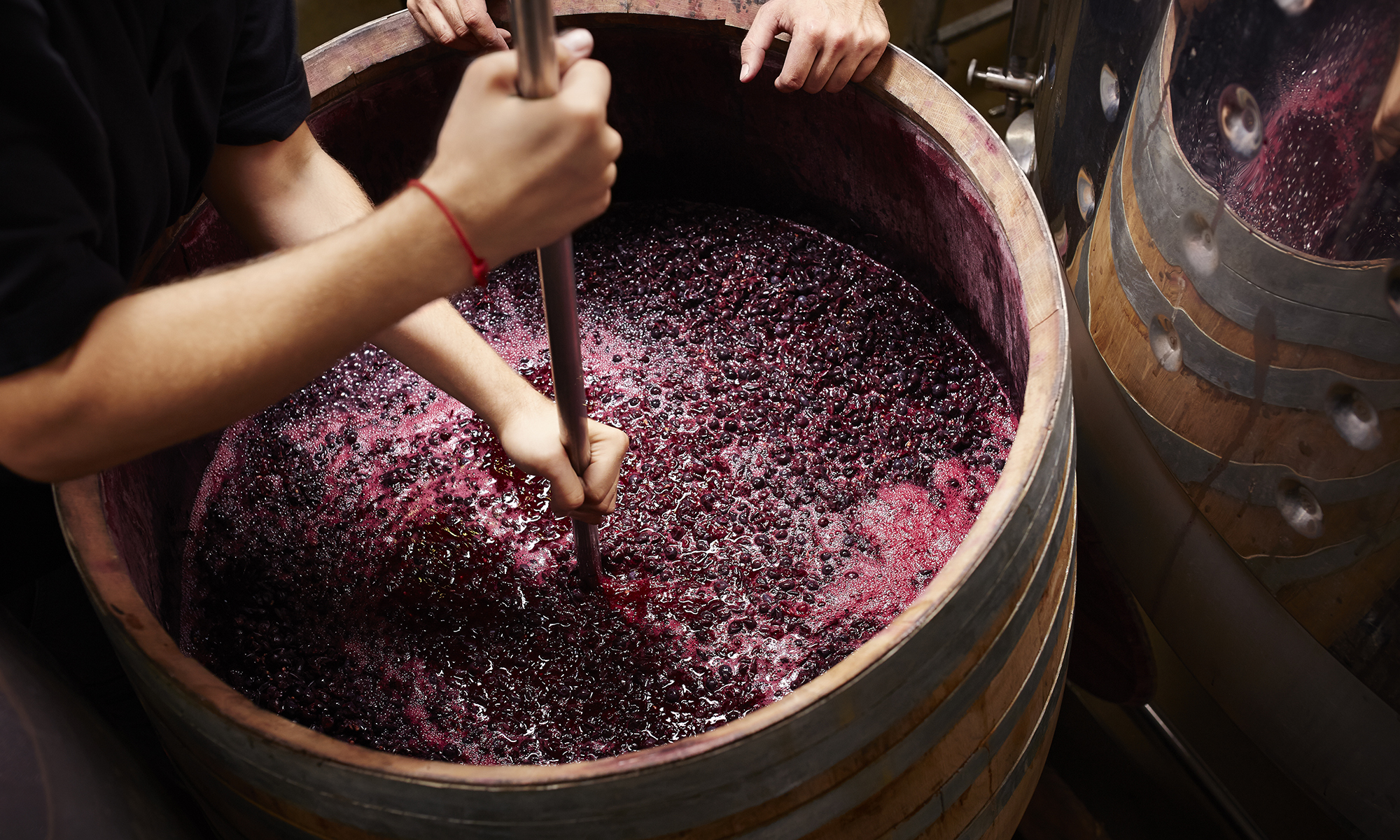 wine making